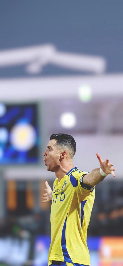 斯基拉：国米、那不勒斯已派球探考察比萨中场伊德里萨-图雷