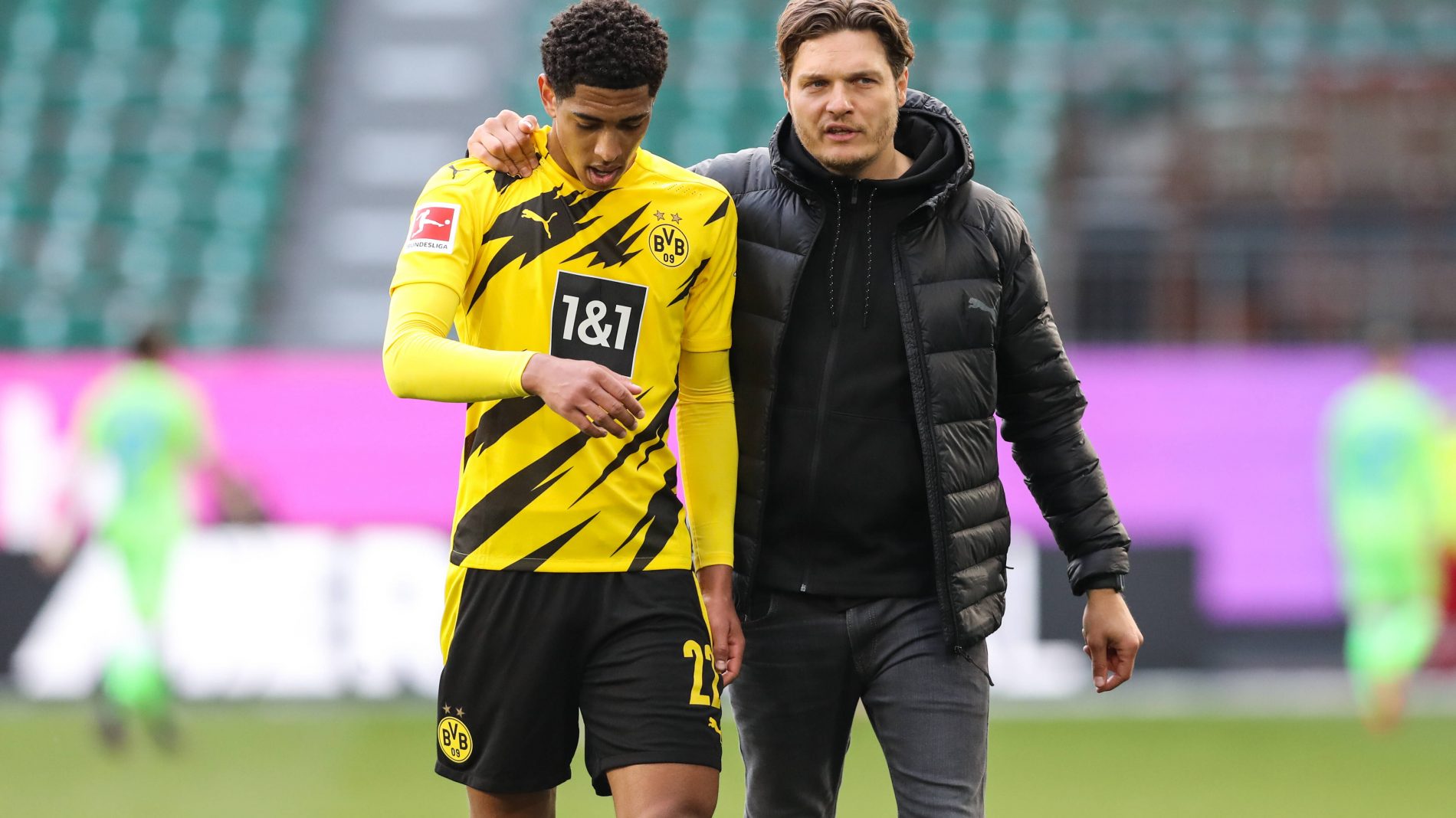 伦敦奥运马术冠军与爱马同日安乐死：二十载相伴书写辉煌传奇